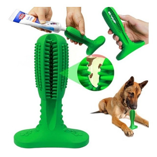 Mordedera Limpia Dientes Con Forma De Cactus Para Perros Mordedera Limpia Dientes Con Forma De Cactus Para Perros