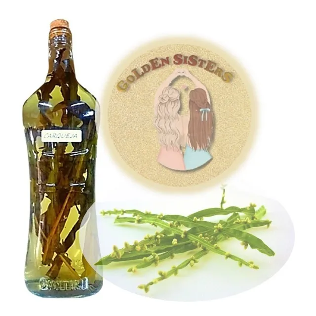 Pinga De Alambique: Carqueja - Curtida Por 1 Ano - 900ml 