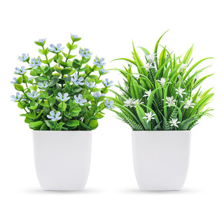 Paquete De 2 Plantas Artificiales Mini Para Decoración Paquete De 2 Plantas Artificiales Mini Para Decoración