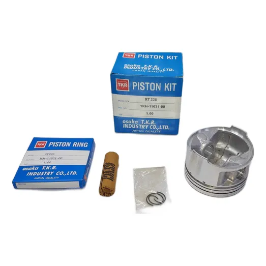 Kit De Piston Yamaha Xt 225 Medida 1.00 Tkr