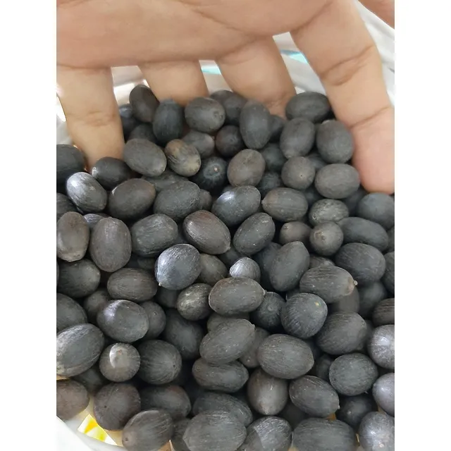 Semillas De Flor De Loto Germinada Y Semillas De Flor Loto