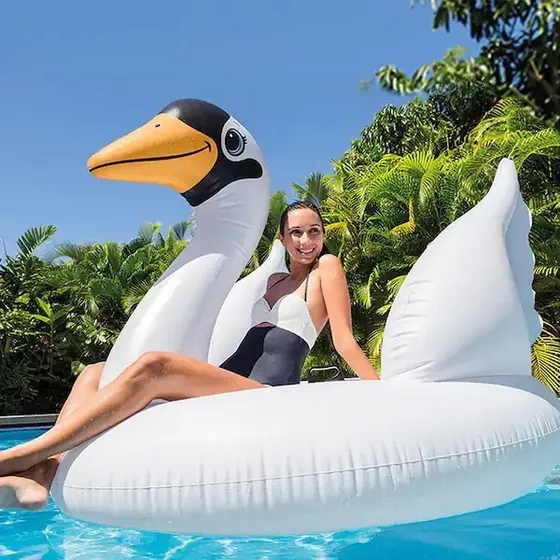 Flotador Inflable Intex Cisne Mega Piscina Playa
