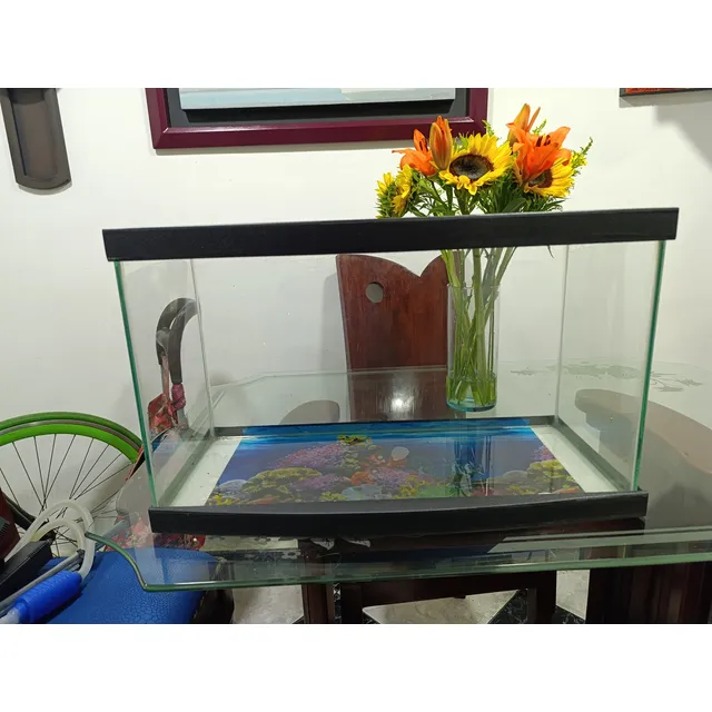 Pecera Acuario 50 Litros Con Tapa, Filtro, Luz Led