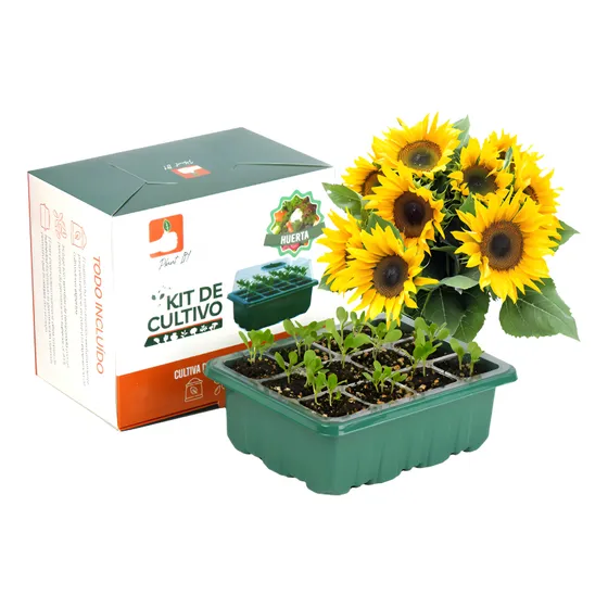 Kit Girasol: Mini Invernadero, Sustrato, Semillas Maravilla
