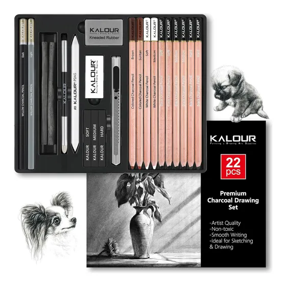 Set De Dibujo Artístico 22 Pc Kalour Carboncillos Accesorios