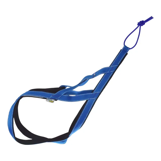 Kit Canicross Para Perros; Arnés, Cinturón Y Línea De Tiro