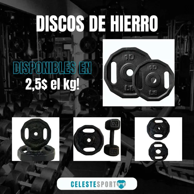 Disco Para Barras Para Gym Y Casas