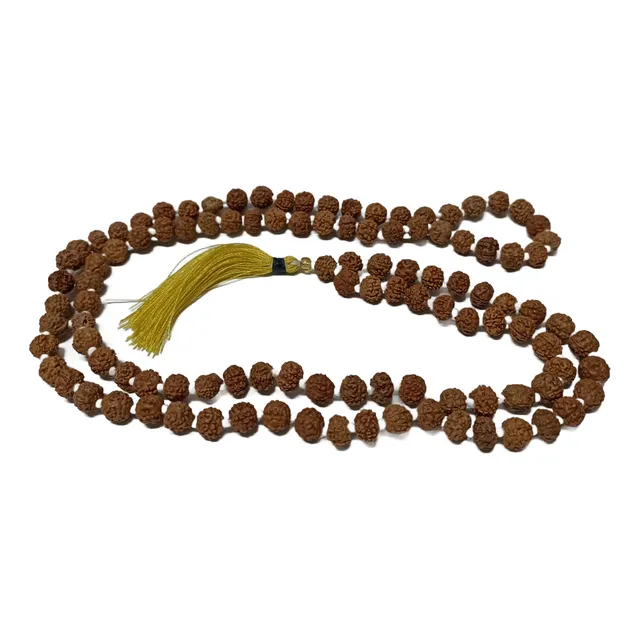 Rosario Budista Japa Mala Semillas De Rudraksha Y Obsequio