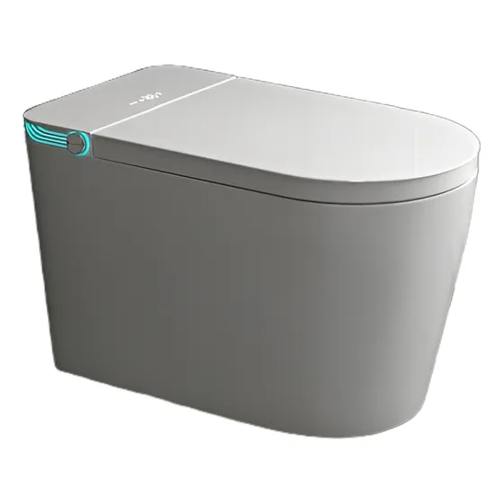 Inodoro Inteligente - Control Remoto Y Bidet Incorporado 602