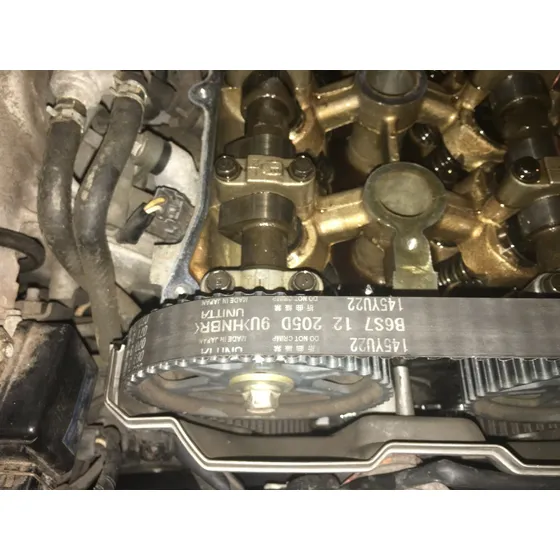 Correa Tiempo Laser 323 Allegro 1.6 1.8 145d Mx5 Miata Usada