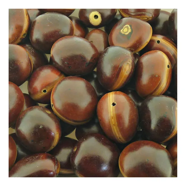 10 Semente Mucunã Olho Boi Vermelho Furada Bijuteria Amuleto