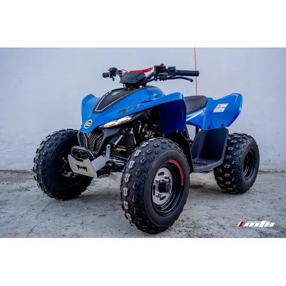 Cfmoto Cforce 110