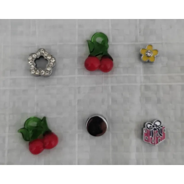 Prendas (collares,zarcillos Y Otros)