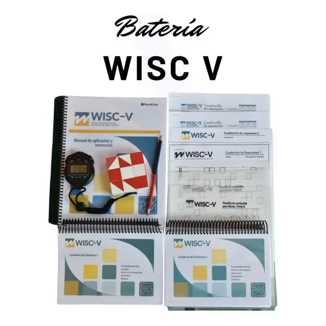 Bateria Wisc V Versión Chilena + Envío Gratis