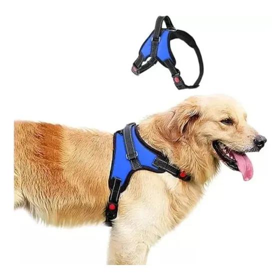 Arnes Pechera Correa Collar Perro Grande Mediano Pequeño