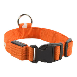 Collar Y Correa Led Para Perros, En El Agua, Brillan En La O Collar Y Correa Led Para Perros, En El Agua, Brillan En La O