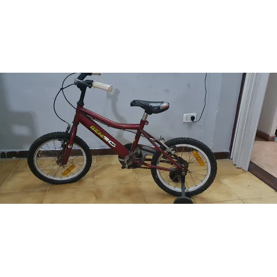 Bicicleta Raleigh Mxr 16  Niños 2021 V-brakes Bordó 16 "