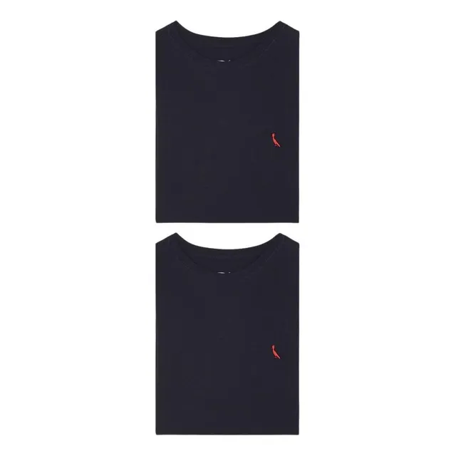 Kit 2 Camisetas Brasa Pica Pau Bordado Reserva