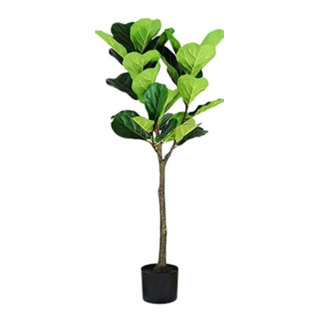 Pandurata Artificial Decorativa Con Maceta Pandurata Artificial Decorativa Con Maceta