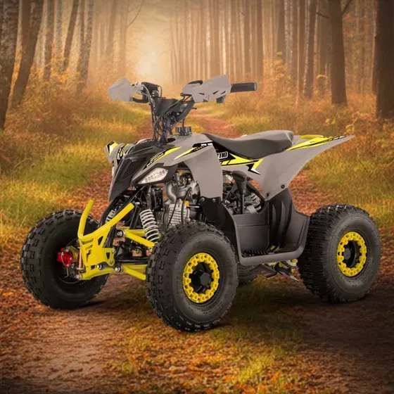 Cuatrimoto Plr Viper 110 Cc Plr