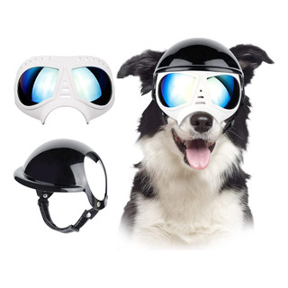 Lentes De Sol Y Casco De Motocicleta Para Perro Grande Lentes De Sol Y Casco De Motocicleta Para Perro Grande