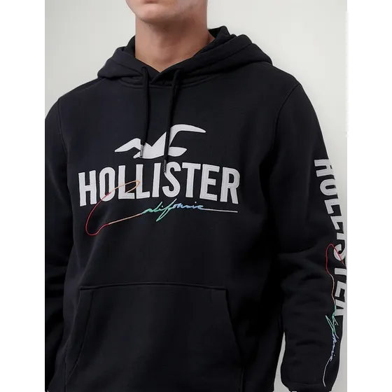 Blusa Moletom Hollister Super Promoção