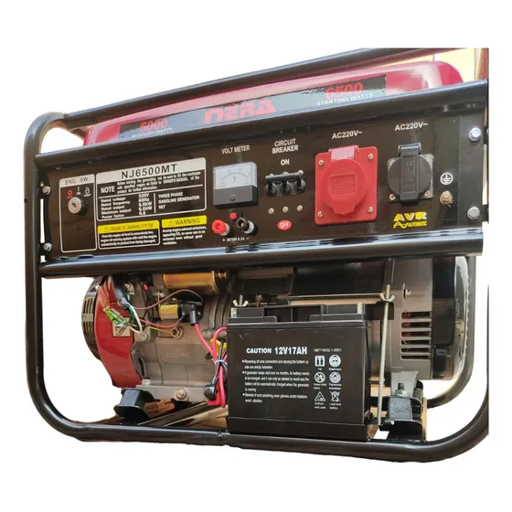 Generador Gasolinero Nera De 6500 Trifásico