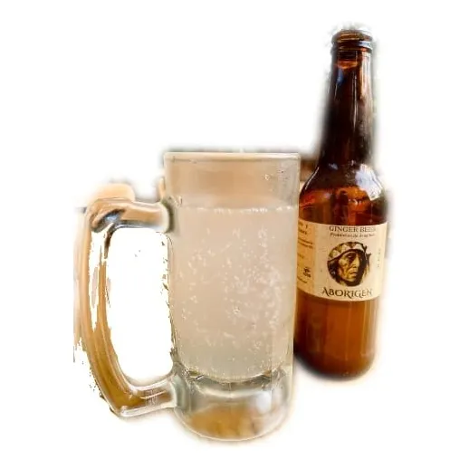 Ginger Beer Refresco De Jengibre Aborigen Tai Chi 6u