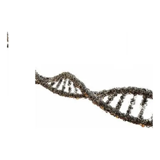 Test Sexo Del Bebe En El Embarazo, Adn Prenatal No Invasivo