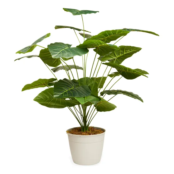 Planta Artificial 1 Metro - Alocasia Deco Hogar