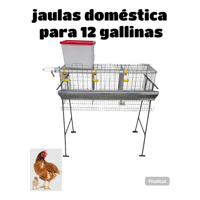 Jaulas Doméstica Para 12 Gallinas Ponedoras