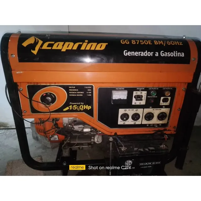 Planta Eléctrica De Gasolina  De 7500w Marca Caprina