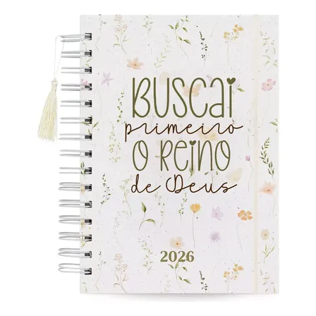 Planner 2026 Coleção Capas Motivacionais Controle Financeiro