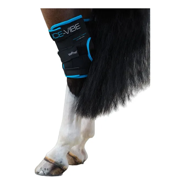 Caballos
