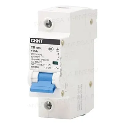 Chint Breake Dc Para Bateria 1p-100a (cb-100a)