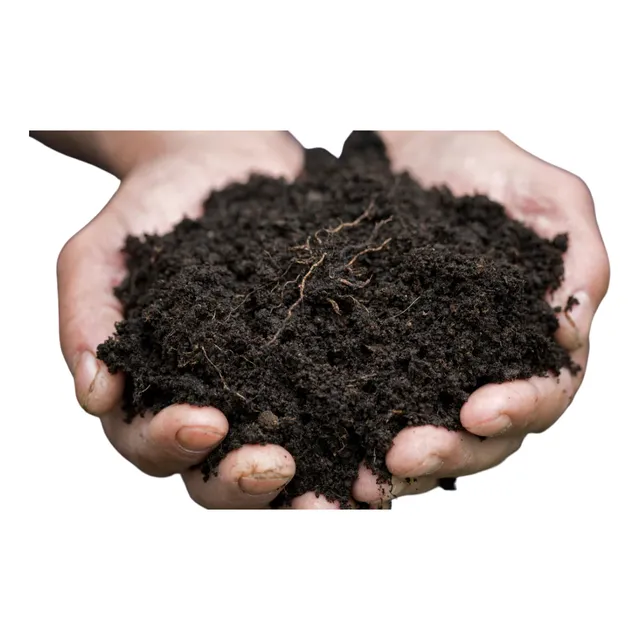Humus Lombricompuesto Suelo Compost Lombriz Organico