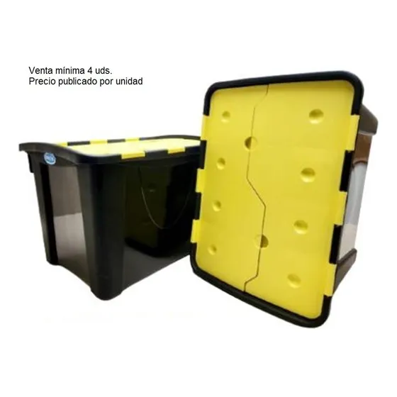 Caja Organizadora Almacenadora Maxy Container Manaplas