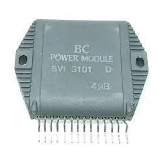 Svi3101