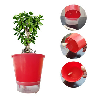 Vaso Raiz Auto Irrigável Gourmet 13cm Autoirrigável Temperos Vaso Raiz Auto Irrigável Gourmet 13cm Autoirrigável Temperos