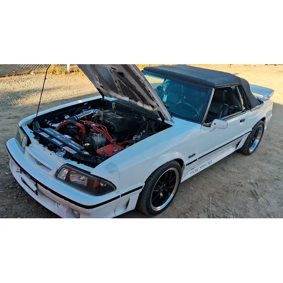 Mustang Fox 5.0