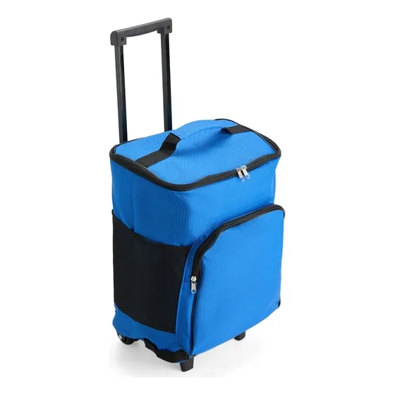 Bolsa Termica 23 Litros Com Rodinha Praia Passeio Lanche