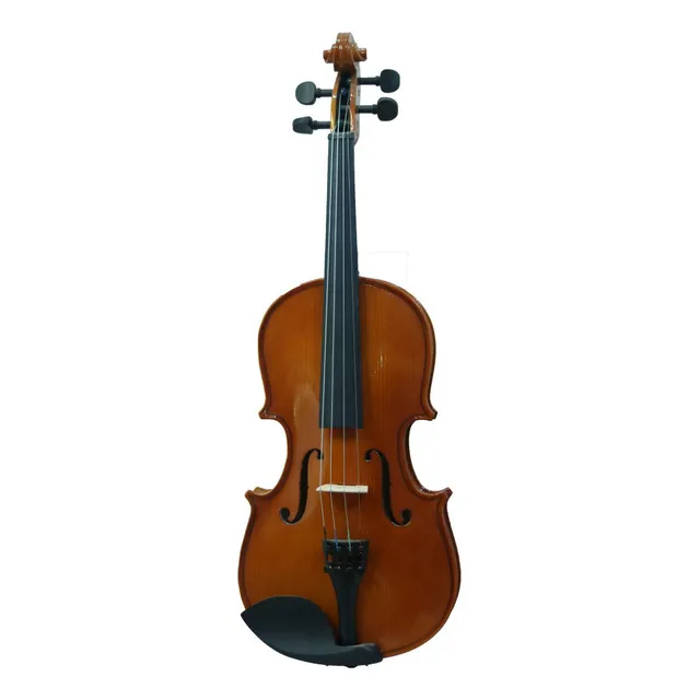 Violín 1/2 Fabricado Con Madera De Arce Vitale Gk0021/2