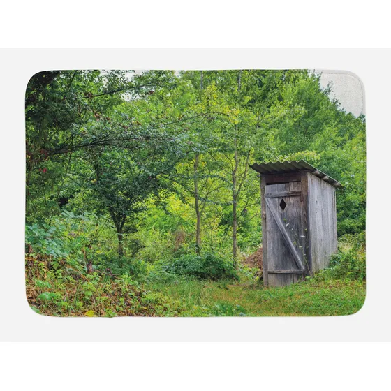 Tapete Baño Cabaña Desgastada Bosque Abandonado Imagen Felpa