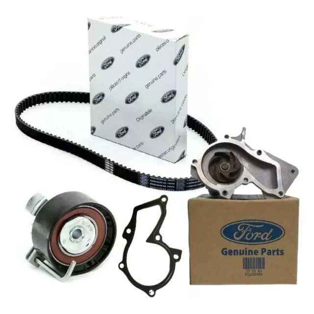 Kit Distribución Ford Fiesta Focus Ecosport Ka Kinetic Sigma