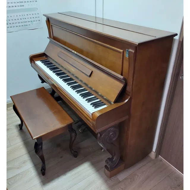 Piano Acustico De Pared