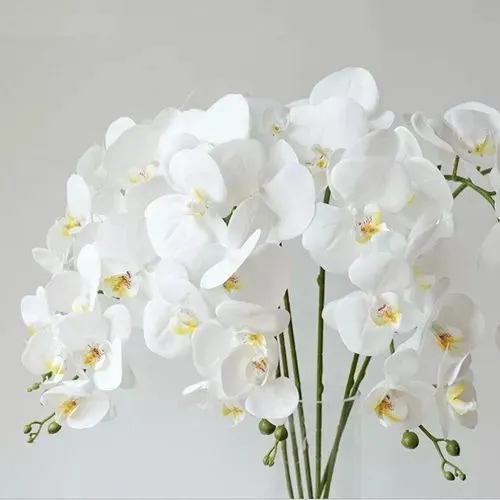 Hi, Galhos De Flores Artificiais De Phalaenopsis De 67 Cm,