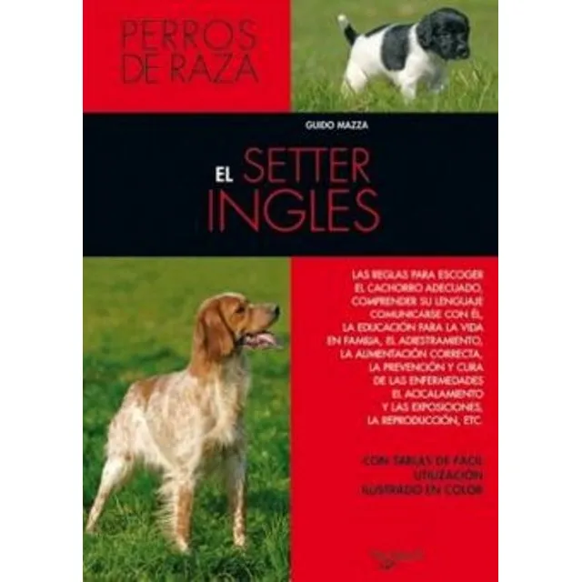 El Setter Ingles - Perros De Raza
