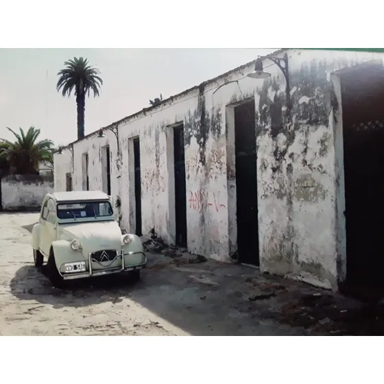 Citroen 2 Cv De 1965. 14 Hp. Centrífugo. 