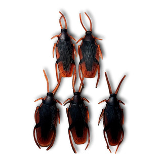 Set 5 Cucaracha Broma Silicon Realistas Insecto Fiesta Set 5 Cucaracha Broma Silicon Realistas Insecto Fiesta