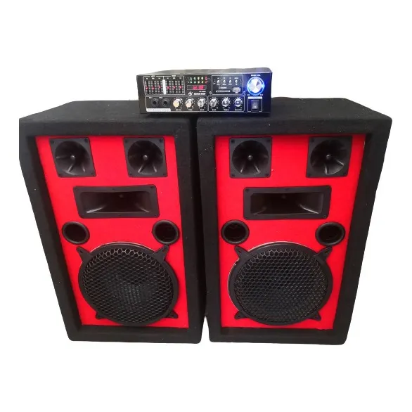 Amplificador De Sonido Y Dos Cabinas De 10 Pulgadas 